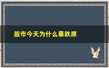 “股市今天为什么暴跌原因是什么（分析股市暴跌的原因与影响）”/