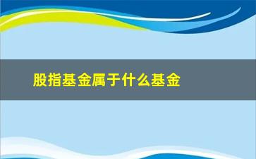 “股指基金属于什么基金(大盘指数基金有哪些)”/