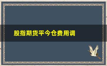 “股指期货平今仓费用调整(股指期货隔夜手续费)”/