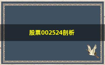 “股票002524剖析参透并选择“稳健”二字”/