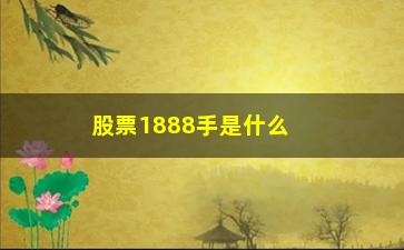 “股票1888手是什么意思(股票万手哥是什么意思)”/