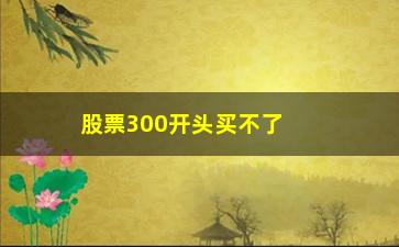 “股票300开头买不了为什么(00开头的代表什么)”/