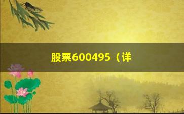 “股票600495（详细分析该股票的投资价值）”/