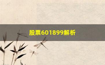 “股票601899解析一只好股票一定满足这四个标准”/