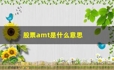 “股票amt是什么意思(股票AMT是什么意思)”/