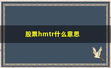 “股票hmtr什么意思(股票竞价什么意思)”/