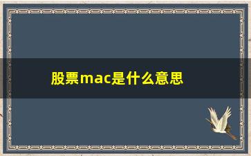 “股票mac是什么意思啊(股票n开头是什么意思)”/