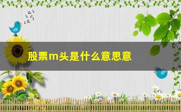 “股票m头是什么意思意思(股票md是什么意思)”/