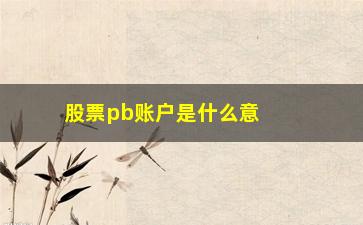 “股票pb账户是什么意思(股票pb百分位是什么意思啊)”/