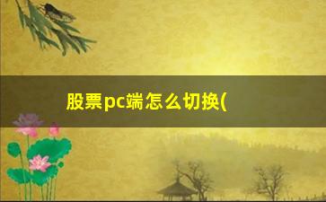 “股票pc端怎么切换(怎么换股票软件)”/