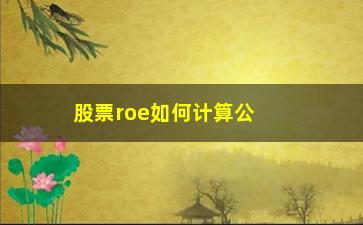 “股票roe如何计算公式(股票roe的计算公式)”/