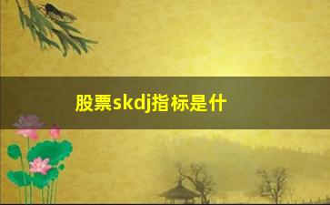 “股票skdj指标是什么意思(skdj指标中的K和D是什么意思)”/