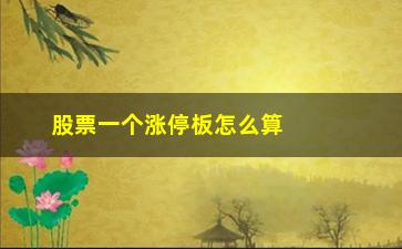 “股票一个涨停板怎么算(股票一个涨停板怎么算收益)”/