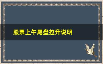 “股票上午尾盘拉升说明什么意思”/