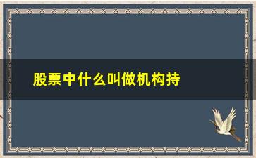 “股票中什么叫做机构持股(什么叫做做空股票)”/