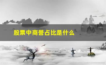 “股票中商誉占比是什么意思(股票中的集中度是什么意思)”/