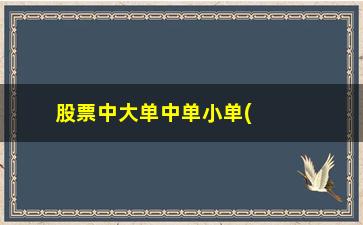 “股票中大单中单小单(股票怎么看大单小单)”/