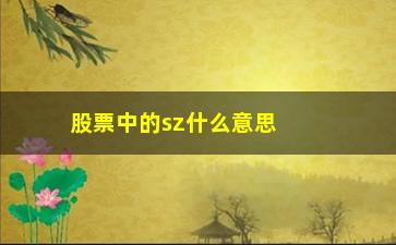 “股票中的sz什么意思(股票中的委比是什么意思)”/