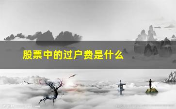 “股票中的过户费是什么意思(股票中的集中度是什么意思)”/