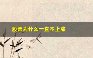 “股票为什么一直不上涨(为什么企业亏损股票上涨)”/