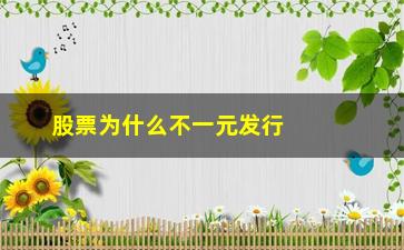 “股票为什么不一元发行(股票为什么不能一次卖完)”/