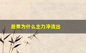 “股票为什么主力净流出还会涨停(股票在涨主力净流出为什么)”/