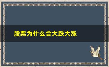 “股票为什么会大跌大涨(股票为什么大跌)”/