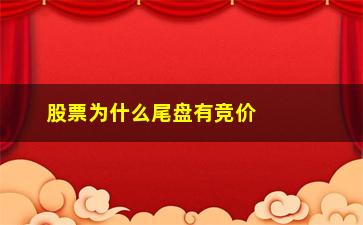 “股票为什么尾盘有竞价(股票尾盘有大单买入代表什么意思)”/