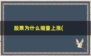 “股票为什么缩量上涨(放量上涨缩量下跌的股票可以买吗)”/