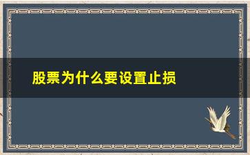 “股票为什么要设置止损线(股票止损线怎么设置)”/