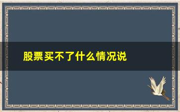 “股票买不了什么情况说明什么问题”/