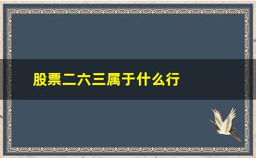 “股票二六三属于什么行业(电子股票属于什么行业)”/