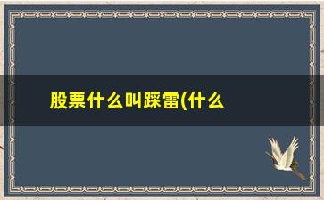 “股票什么叫踩雷(什么叫不踩雷的意思)”/