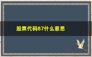 “股票代码87什么意思(股票代码前加sz是什么意思)”/