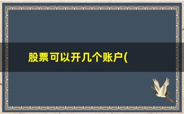 “股票可以开几个账户(如何开股票账户)”/