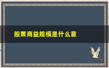 “股票商益规模是什么意思(股票一手是什么意思)”/