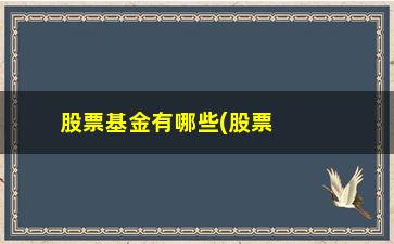 “股票基金有哪些(股票基金分几种类型)”/