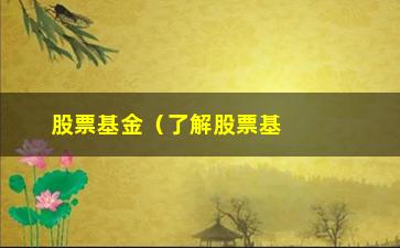 “股票基金（了解股票基金投资的基本知识）”/