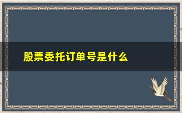 “股票委托订单号是什么(股票委托成交是什么意思)”/