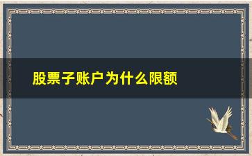 “股票子账户为什么限额(一类账户为什么限额5000)”/