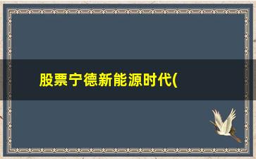 “股票宁德新能源时代(新能源十大优质龙头)”/