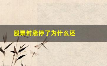 “股票封涨停了为什么还有买进(涨9个点的股票为什么不涨停)”/