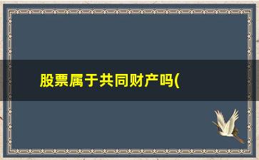 “股票属于共同财产吗(股票算不算夫妻共同财产)”/