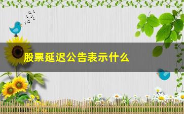 “股票延迟公告表示什么(股票停牌公告表示什么)”/