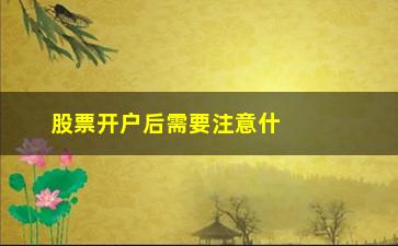 “股票开户后需要注意什么问题(股票开户需要什么资料)”/