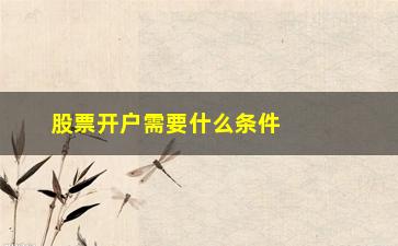 “股票开户需要什么条件？，详细介绍股票开户所需的资格和流程”/