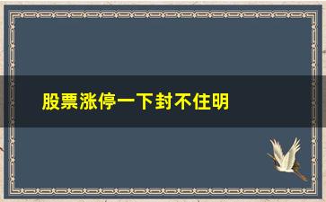 “股票涨停一下封不住明天怎么办(涨停一直封不住)”/