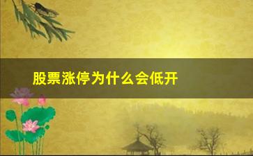 “股票涨停为什么会低开(股票涨停封单量怎么看)”/