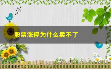 “股票涨停为什么卖不了(为什么股票涨停了没有人卖)”/