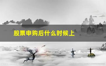 “股票申购后什么时候上市交易(中信申购什么时候上市交易)”/